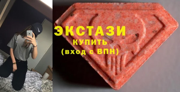 индика Бородино
