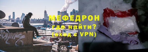 индика Бородино