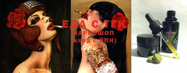 индика Бородино