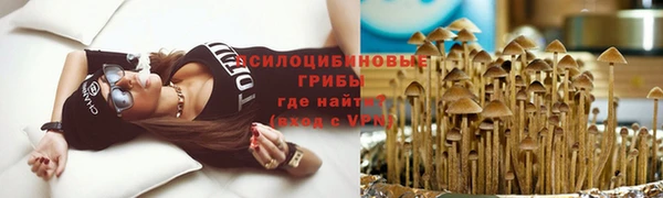 индика Бородино