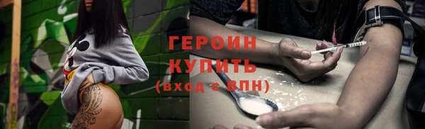 индика Бородино