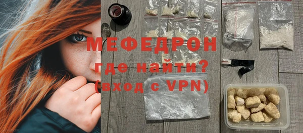 индика Бородино
