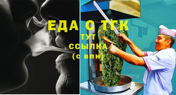 индика Бородино