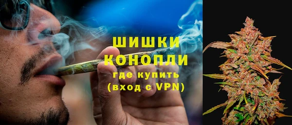 индика Бородино