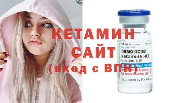 индика Бородино