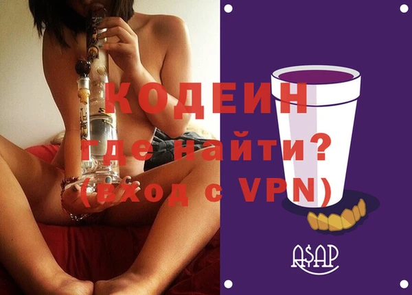индика Бородино