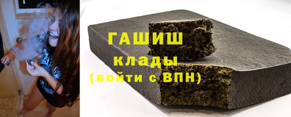индика Бородино