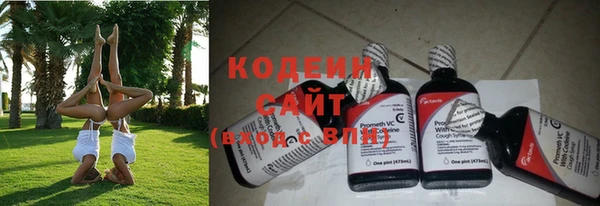 индика Бородино