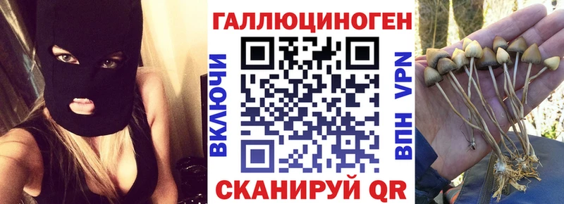 Галлюциногенные грибы GOLDEN TEACHER  Партизанск 